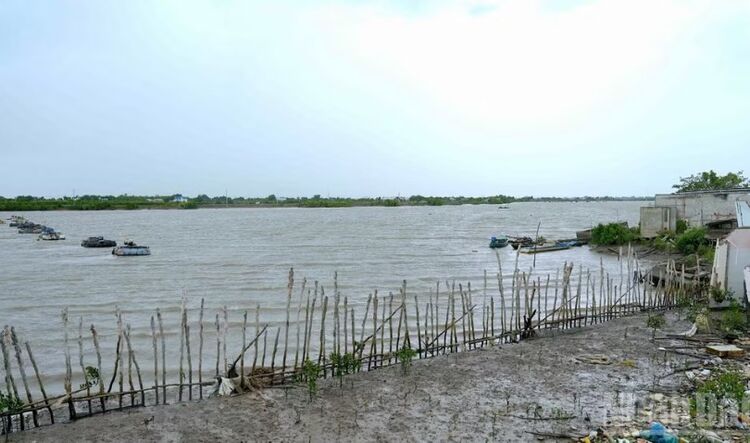 Giữ lại màu xanh cho dải đất Gành Hào