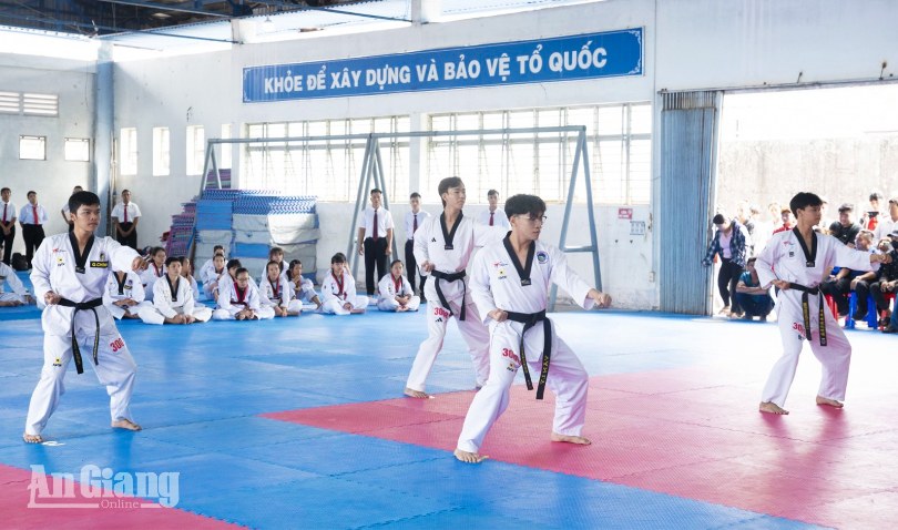 366 võ sinh thi thăng đẳng môn Taekwondo