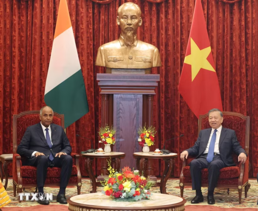Tổng Bí thư, Chủ tịch nước Tô Lâm tiếp Chủ tịch Quốc hội Cộng hòa Bờ Biển Ngà Patrick Achi