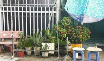 Khoảng xanh lấn lối đi chung
