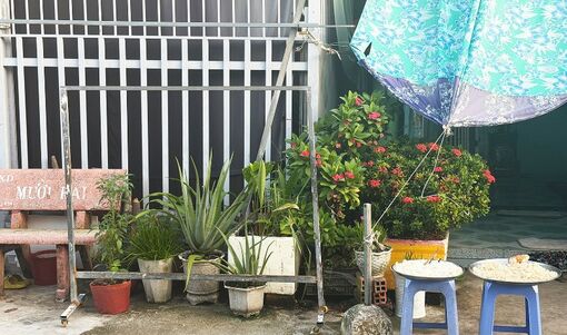 Khoảng xanh lấn lối đi chung