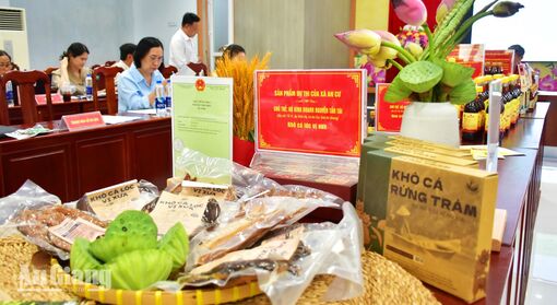 An Giang đánh giá, phân hạng 16 sản phẩm OCOP đợt 1 năm 2026