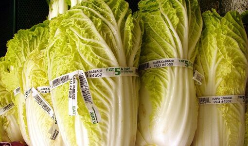 Bê bối cải thảo tại Trung Quốc gây lo ngại đối với kim chi Hàn Quốc