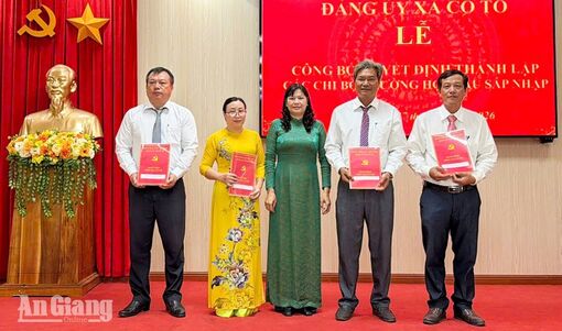 Đảng ủy xã Cô Tô thành lập 4 chi bộ trường học
