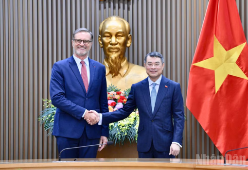 Vun đắp quan hệ hợp tác Việt Nam-Pháp ngày càng phát triển mạnh mẽ, thực chất và bền vững