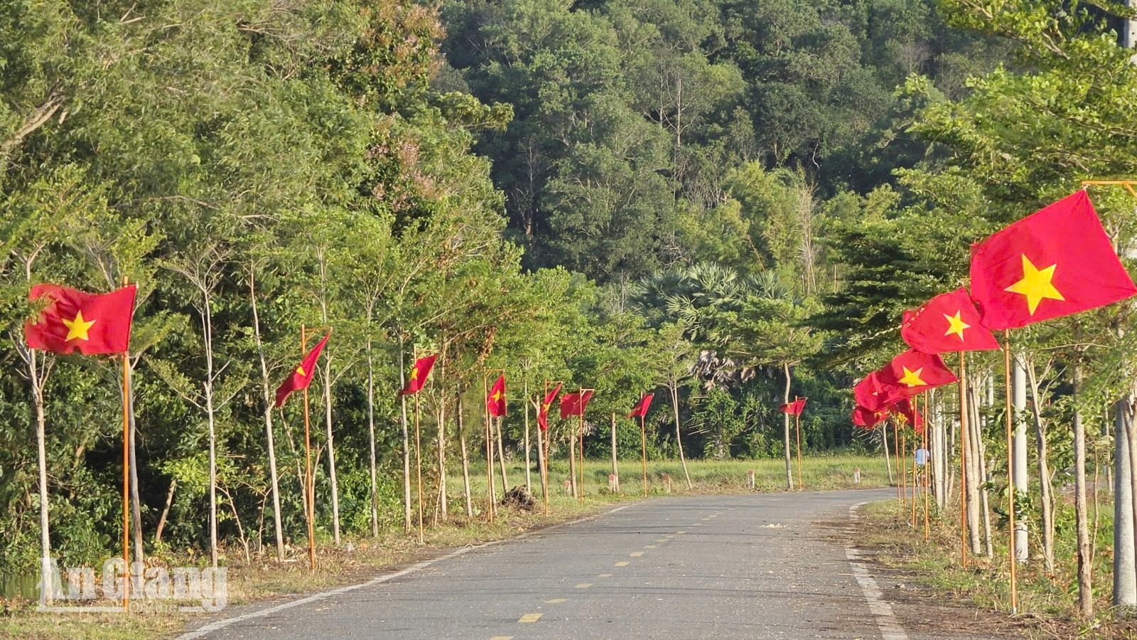 Hà Tiên có đường cờ Tổ quốc dài 2km, 200 trụ cờ