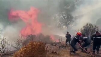 Algeria tuyên bố quốc tang sau hàng loạt vụ cháy rừng
