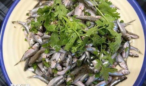 Khai thác "lộc trời", biến giá trị của mùa nước nổi thành sản phẩm du lịch