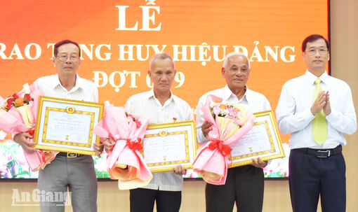 Trao Huy hiệu Đảng cho 55 đảng viên xã Vĩnh Phong