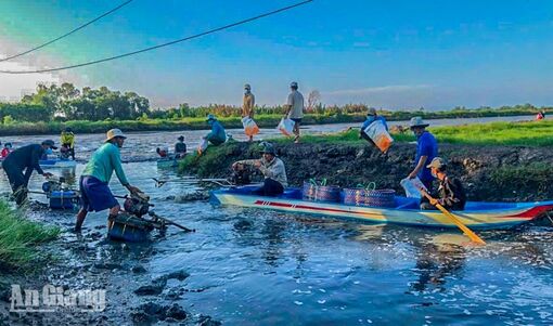 Một ngày vào mùa tôm càng xanh