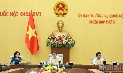 Ban hành các nghị quyết của Ủy ban Thường vụ Quốc hội về công tác nhân sự, tổ chức