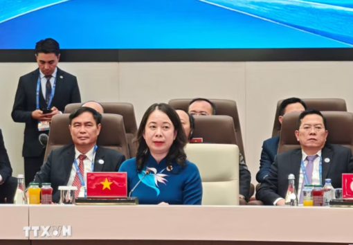 Phó Chủ tịch nước gặp Tổng Thư ký LHQ, tiếp Tổng Thư ký CICA, Chủ tịch Hội đồng Bộ trưởng Togo