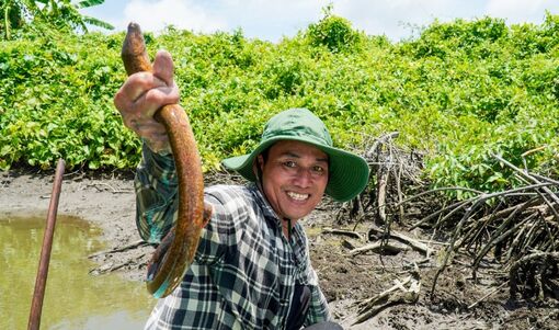 Về miền Tây se lịch vuông tôm, nấu nồi lẩu chua ngon "hết sẩy"