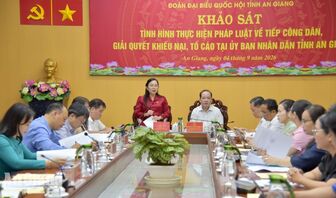 An Giang còn hơn 500 đơn khiếu nại, tố cáo chưa giải quyết
