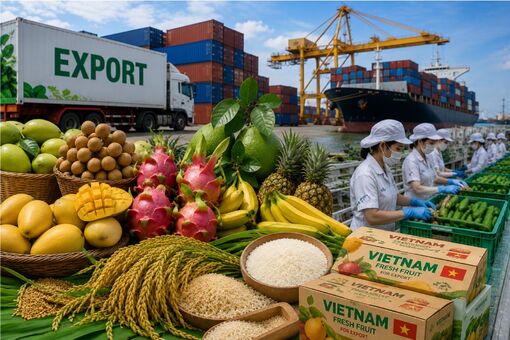 Chuẩn hóa thương hiệu - Doanh nghiệp xuất khẩu An Giang tiếp tục mở rộng thị trường quốc tế
