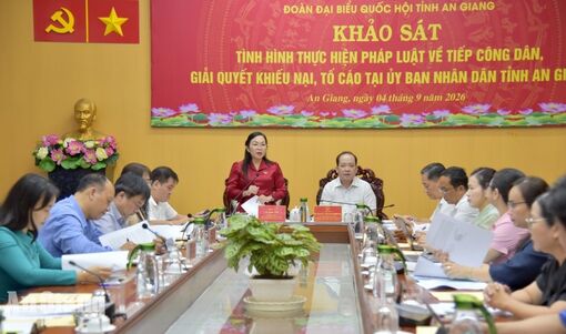 An Giang còn hơn 500 đơn khiếu nại, tố cáo chưa giải quyết