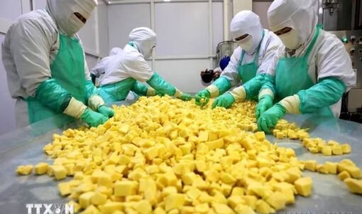Xuất khẩu nông sản của Việt Nam đạt 25,66 tỷ USD trong 8 tháng qua