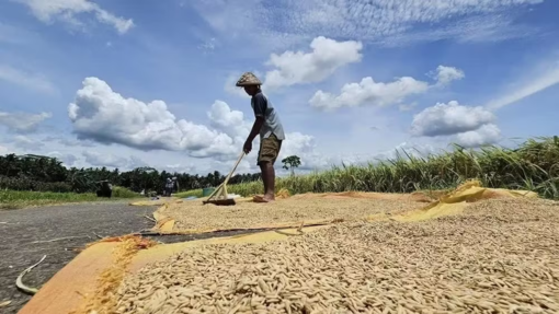 Hiện tượng El Nino mạnh lên nhanh chóng
