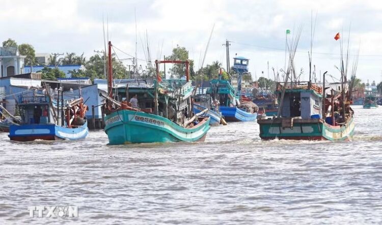 Khắc phục "thẻ vàng" IUU ở Cà Mau: Số hóa dữ liệu, siết chặt quản lý tàu cá