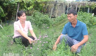 Nữ Chủ tịch Hội Nông dân Định Mỹ và hành trình "số hóa" nhà vườn