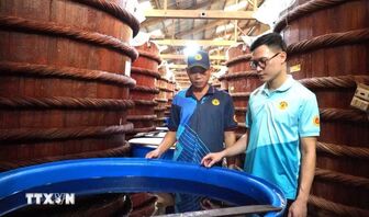 Nghề làm nước mắm Phú Quốc: "Chắt lọc thiên nhiên" tạo nên tinh hoa văn hóa - ẩm thực Việt