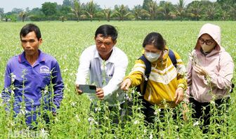 Nông dân xã An Phú thi đua sản xuất, kinh doanh giỏi