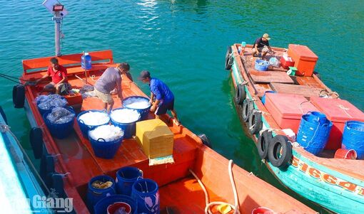 Sơn Hải tạo chuyển biến từ cơ sở