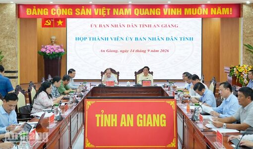 95,84% hộ dân đồng ý chủ trương thành lập 22 phường ở An Giang