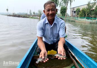 Thả 40.000 con cá giống phát triển kinh tế mùa lũ tại xã An Cư