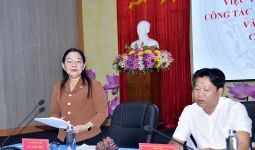 Thu gom 76,4%, An Giang còn gần 700 tấn rác chưa xử lý mỗi ngày