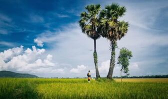 Du lịch nông nghiệp: Làm sao đưa làng quê vào chuỗi giá trị thay vì điểm "check-in"?