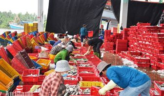 Khép kín truy xuất nguồn gốc thủy sản từ cảng cá
