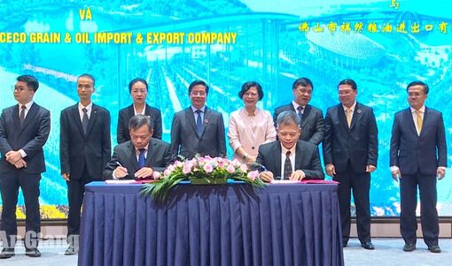 Doanh nghiệp An Giang ký 10 biên bản ghi nhớ với đối tác Trung Quốc