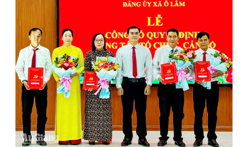 Đảng ủy xã Ô Lâm thành lập 9 chi bộ trực thuộc