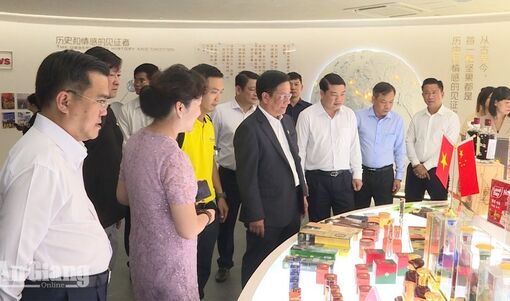 An Giang đẩy mạnh kết nối tiêu thụ nông sản tại Quảng Tây (Trung Quốc)
