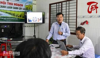 Mô hình tôm - lúa 3ha ở Vĩnh Bình lãi khoảng 70 triệu đồng