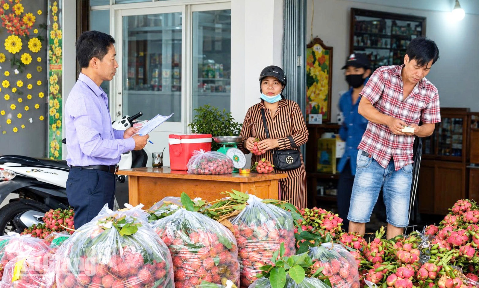 Nâng cao kỹ năng thu thập thông tin giá nông sản cho cán bộ khuyến nông