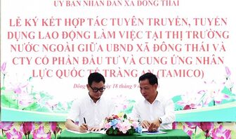 Kết nối việc làm, mở thêm sinh kế