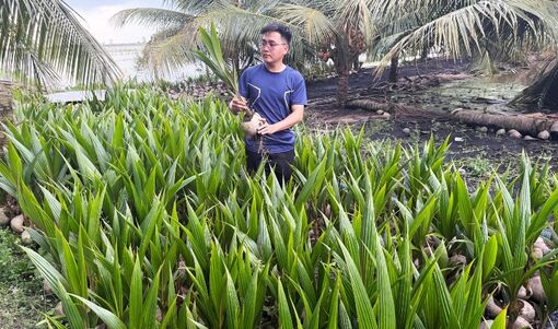 Tân Hội đa dạng mô hình kinh tế nông hộ