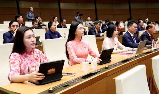 2 nhóm giảng viên luật được miễn đào tạo nghề để trở thành luật sư công