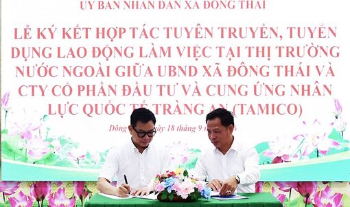 Kết nối việc làm, mở thêm sinh kế