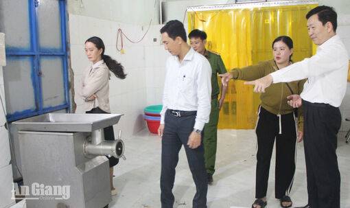 Kiểm tra cơ sở sản xuất chả cá basa ở Mỹ Thới