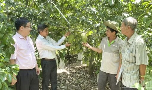 Nâng cao chất lượng nông sản đáp ứng yêu cầu thị trường tỷ dân