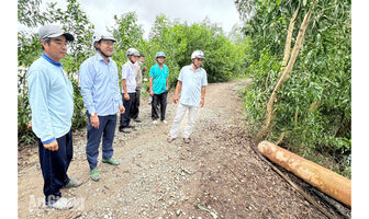 Ô Lâm ra sức bảo vệ 3.577ha đất nông nghiệp trước nguy cơ ngập úng