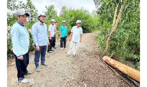 Ô Lâm ra sức bảo vệ 3.577ha đất nông nghiệp trước nguy cơ ngập úng