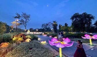 Đắm chìm trong sắc màu rực rỡ của Trung thu 2026 tại Singapore