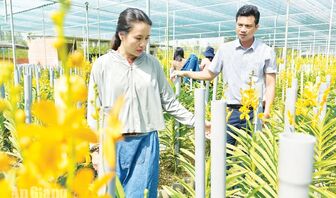 Nữ nông dân An Giang sản xuất, kinh doanh giỏi