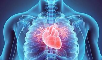 Cách đơn giản phát hiện sớm dấu hiệu lão hóa tim ở người cao tuổi