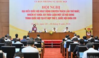 Cân nhắc kỹ quy định miễn thuế 3 năm đối với doanh nghiệp nhỏ và vừa
