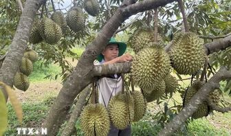 Nghị quyết 57-NQ/TW: Số hóa nông nghiệp, mở đường xuất khẩu nông sản